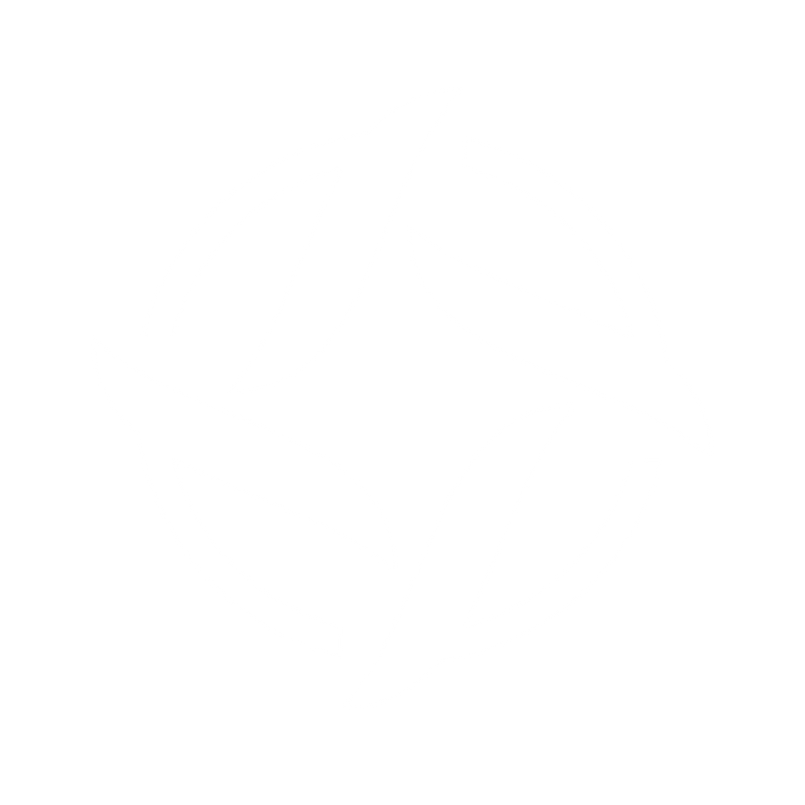 VECTOR